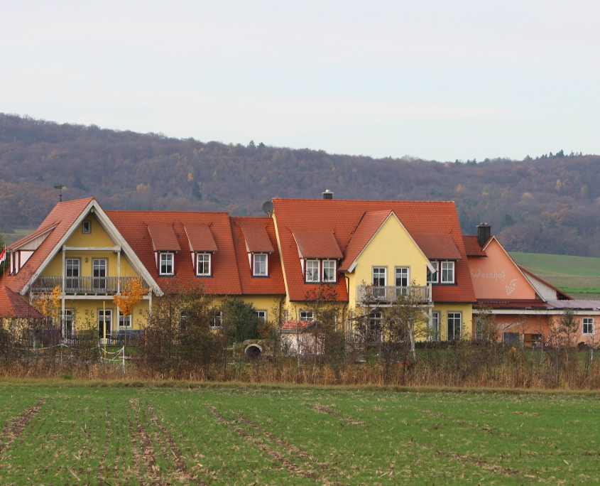 Fotos WeinSchönerLand 044